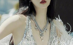 车速快多肉的百合片